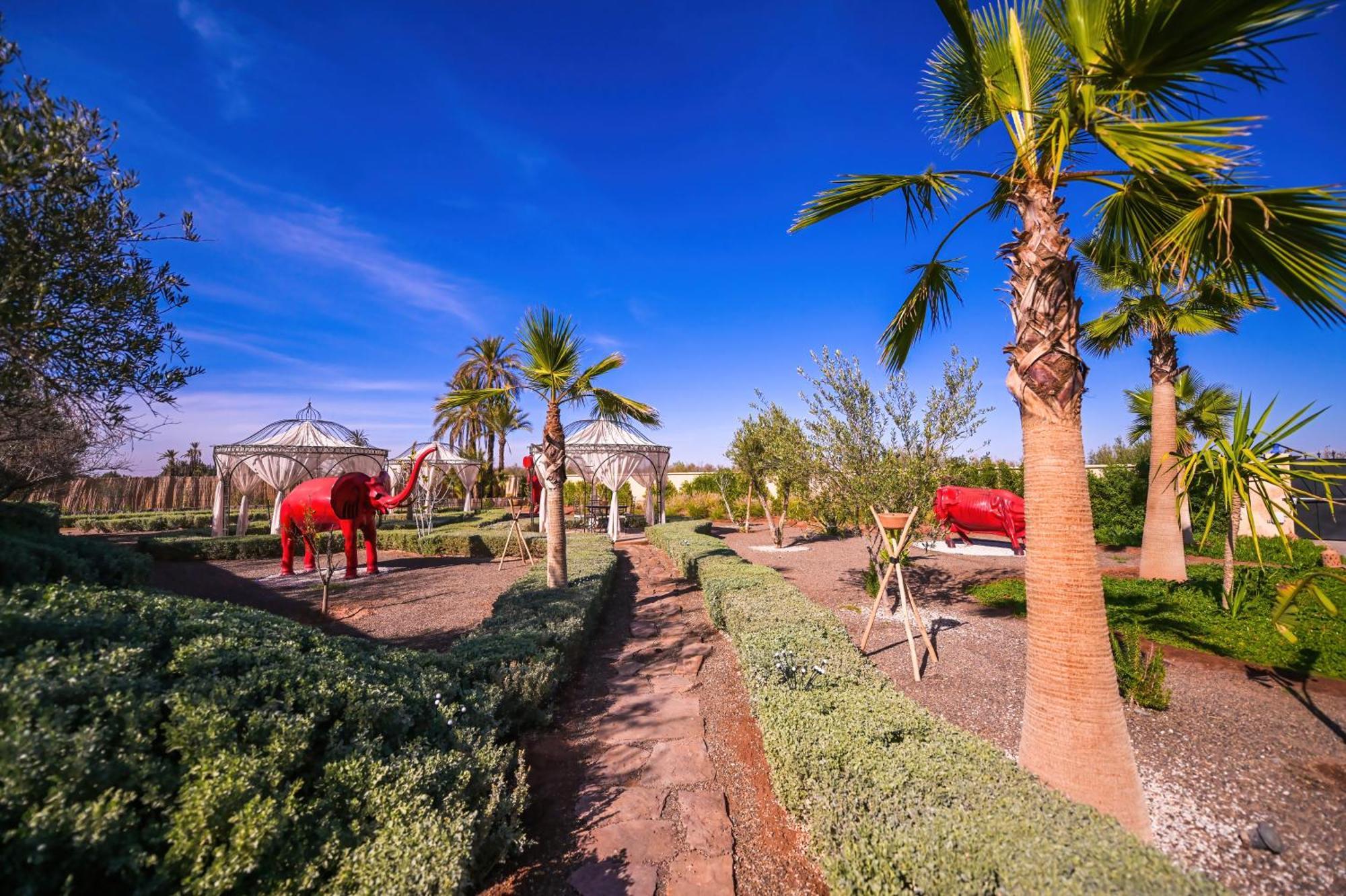 Maison Daouia Ouled Jelal Екстер'єр фото